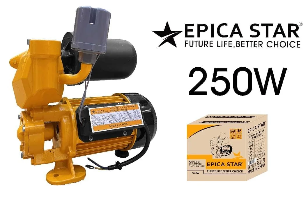 Automatic water pump — Epica Star EP-50710